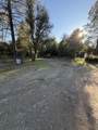 17296 Billy Jack Lane - Photo 13