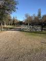 17296 Billy Jack Lane - Photo 28
