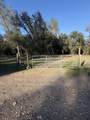 17296 Billy Jack Lane - Photo 29