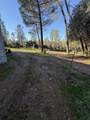 17296 Billy Jack Lane - Photo 7