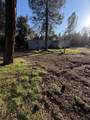 17296 Billy Jack Lane - Photo 8