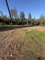 17296 Billy Jack Lane - Photo 9