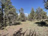 0 Hilltop Lane - Photo 10