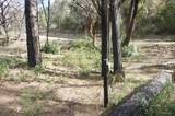 1600 Lake Road - Photo 13