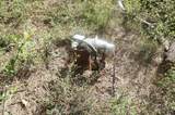 1600 Lake Road - Photo 2