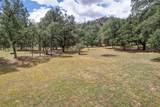 13596 Quarry View Road - Photo 52