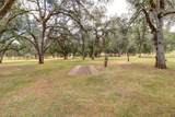 13596 Quarry View Road - Photo 54