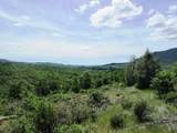 18155 Patterson Ranch Road - Photo 11