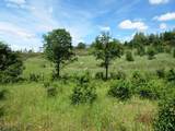 18155 Patterson Ranch Road - Photo 14
