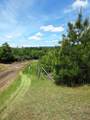 18155 Patterson Ranch Road - Photo 17