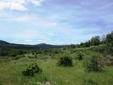 18155 Patterson Ranch Road - Photo 21