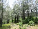 18155 Patterson Ranch Road - Photo 7