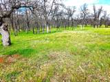 19417 Belleterre Drive - Photo 4
