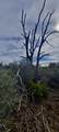 Lot 13 Battle View - Photo 13