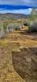 Lot 13 Battle View - Photo 3