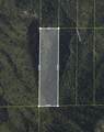 40 Acres - Photo 3