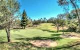 13155 Tierra Heights Road - Photo 6