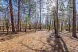 10577 Pineseed Lane - Photo 17