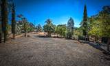 13374 Hidden Oaks Trail - Photo 28