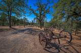 13374 Hidden Oaks Trail - Photo 29