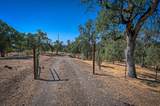13374 Hidden Oaks Trail - Photo 30