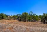 21911 Hayfork Place - Photo 12