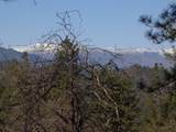  Fawn Road - Photo 15