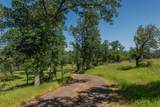 21679 Squaw Grass Trail - Photo 3