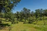 21679 Squaw Grass Trail - Photo 45