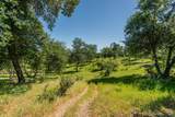 21679 Squaw Grass Trail - Photo 46
