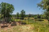 21679 Squaw Grass Trail - Photo 47