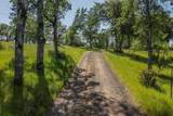 21679 Squaw Grass Trail - Photo 51