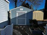 451 Balsawood Drive - Photo 5