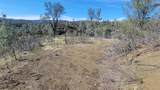 Lot 174 Cottonwood Creek Road - Photo 17