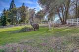 20424 Helena Oaks Lane - Photo 44