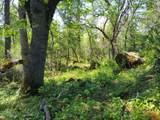 0000 Rocky Oaks Rd - Photo 13