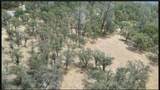 0000 Rocky Oaks Rd - Photo 2