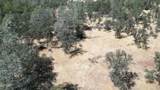 0000 Rocky Oaks Rd - Photo 22
