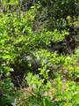 0000 Rocky Oaks Rd - Photo 6