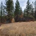 228 acres Old Bully Choop Road - Photo 11