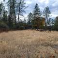 228 acres Old Bully Choop Road - Photo 12