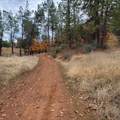 228 acres Old Bully Choop Road - Photo 13