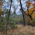 228 acres Old Bully Choop Road - Photo 15