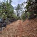 228 acres Old Bully Choop Road - Photo 17