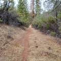 228 acres Old Bully Choop Road - Photo 18