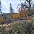 228 acres Old Bully Choop Road - Photo 24
