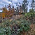 228 acres Old Bully Choop Road - Photo 26