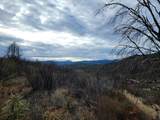 228 acres Old Bully Choop Road - Photo 27
