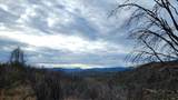228 acres Old Bully Choop Road - Photo 28