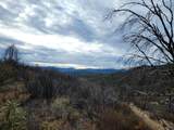 228 acres Old Bully Choop Road - Photo 29
